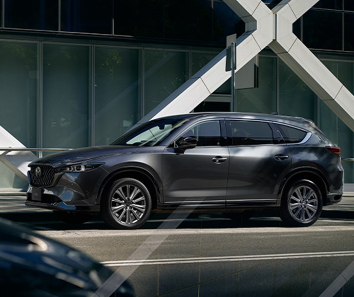 Mazda Cx-8 Lâm Đồng 